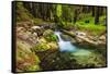 Hare Creek and Redwoods, Limekiln State Park, Big Sur, California, Usa-Russ Bishop-Framed Stretched Canvas