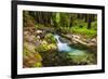 Hare Creek and Redwoods, Limekiln State Park, Big Sur, California, Usa-Russ Bishop-Framed Photographic Print