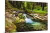 Hare Creek and Redwoods, Limekiln State Park, Big Sur, California, Usa-Russ Bishop-Mounted Photographic Print