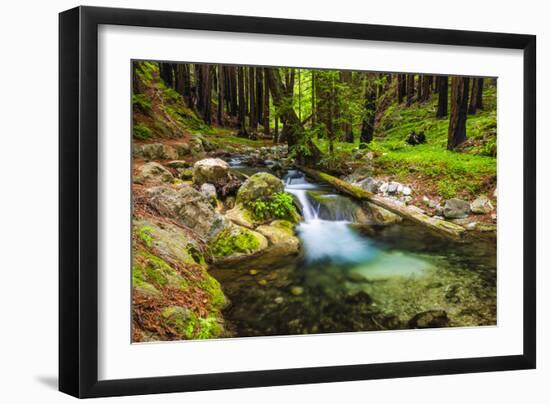 Hare Creek and Redwoods, Limekiln State Park, Big Sur, California, Usa-Russ Bishop-Framed Photographic Print