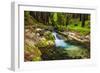 Hare Creek and Redwoods, Limekiln State Park, Big Sur, California, Usa-Russ Bishop-Framed Photographic Print