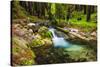 Hare Creek and Redwoods, Limekiln State Park, Big Sur, California, Usa-Russ Bishop-Stretched Canvas