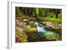 Hare Creek and Redwoods, Limekiln State Park, Big Sur, California, Usa-Russ Bishop-Framed Photographic Print