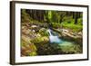 Hare Creek and Redwoods, Limekiln State Park, Big Sur, California, Usa-Russ Bishop-Framed Photographic Print