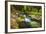 Hare Creek and Redwoods, Limekiln State Park, Big Sur, California, Usa-Russ Bishop-Framed Photographic Print