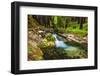 Hare Creek and Redwoods, Limekiln State Park, Big Sur, California, Usa-Russ Bishop-Framed Photographic Print