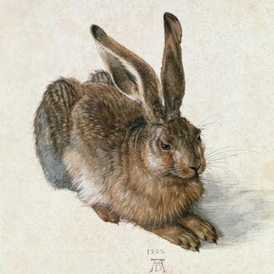 https://imgc.allpostersimages.com/img/posters/hare-hase-watercolour_u-L-Q1HQ7420.jpg?artPerspective=n