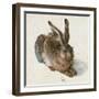 Hare-Hase. Watercolour.-Albrecht Dürer-Framed Giclee Print