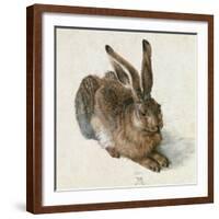 Hare-Hase. Watercolour.-Albrecht Dürer-Framed Giclee Print