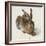 Hare-Hase. Watercolour.-Albrecht Dürer-Framed Giclee Print