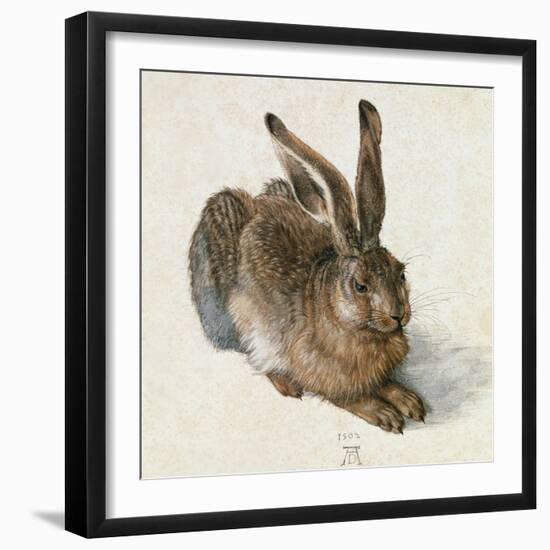 Hare-Hase. Watercolour.-Albrecht Dürer-Framed Giclee Print