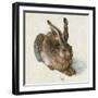 Hare-Hase. Watercolour.-Albrecht Dürer-Framed Giclee Print