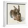 Hare-Hase. Watercolour.-Albrecht Dürer-Framed Giclee Print