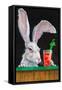 Hare of the Dog-Will Bullas-Framed Stretched Canvas
