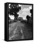 Hare Street Roman Road-null-Framed Stretched Canvas