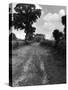 Hare Street Roman Road-null-Stretched Canvas