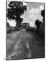 Hare Street Roman Road-null-Mounted Photographic Print