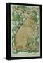 Hare (W/C on Paper)-William De Morgan-Framed Stretched Canvas