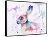 Hare Watercolour-Sarah Stribbling-Framed Stretched Canvas