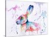 Hare Watercolour-Sarah Stribbling-Stretched Canvas