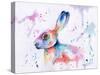 Hare Watercolour-Sarah Stribbling-Stretched Canvas