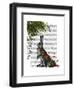 Hare with Butterfly Cloak-Fab Funky-Framed Art Print