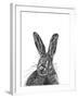 Hare-null-Framed Giclee Print