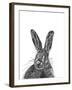 Hare-null-Framed Giclee Print