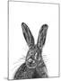 Hare-null-Mounted Giclee Print