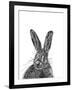 Hare-null-Framed Giclee Print