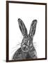 Hare-null-Framed Giclee Print