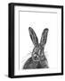 Hare-null-Framed Giclee Print