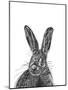 Hare-null-Mounted Giclee Print