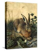 Hare-Hans Hoffmann-Stretched Canvas