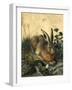 Hare-Hans Hoffmann-Framed Giclee Print