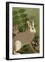 Hare-Rocket 68-Framed Giclee Print