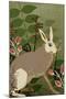 Hare-Rocket 68-Mounted Giclee Print