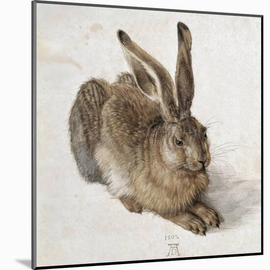 Hare-Albrecht Dürer-Mounted Art Print