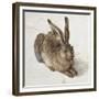 Hare-Albrecht Dürer-Framed Premium Giclee Print