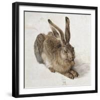 Hare-Albrecht Dürer-Framed Premium Giclee Print