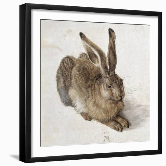 Hare-Albrecht Dürer-Framed Premium Giclee Print