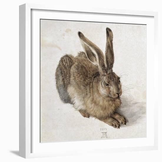 Hare-Albrecht Dürer-Framed Premium Giclee Print