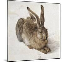 Hare-Albrecht Dürer-Mounted Premium Giclee Print