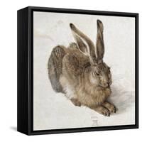 Hare-Albrecht Dürer-Framed Stretched Canvas