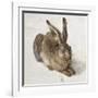 Hare-Albrecht Dürer-Framed Art Print