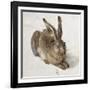 Hare-Albrecht Dürer-Framed Art Print