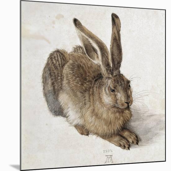 Hare-Albrecht Dürer-Mounted Art Print