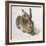 Hare-Albrecht Dürer-Framed Art Print