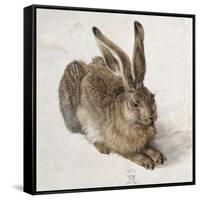 Hare-Albrecht Dürer-Framed Stretched Canvas