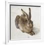 Hare-Albrecht Dürer-Framed Art Print